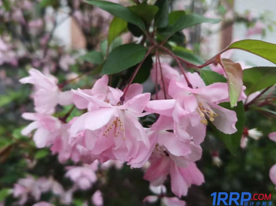 ps怎么讓模糊的照片變清晰？ps低像素圖片轉成高清-14